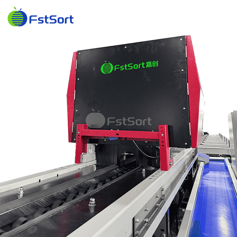 images/1770953107246Guava Grading.png